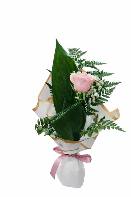 Rosa Individua rosa