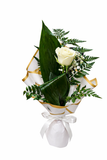 Rosa Individual blanca
