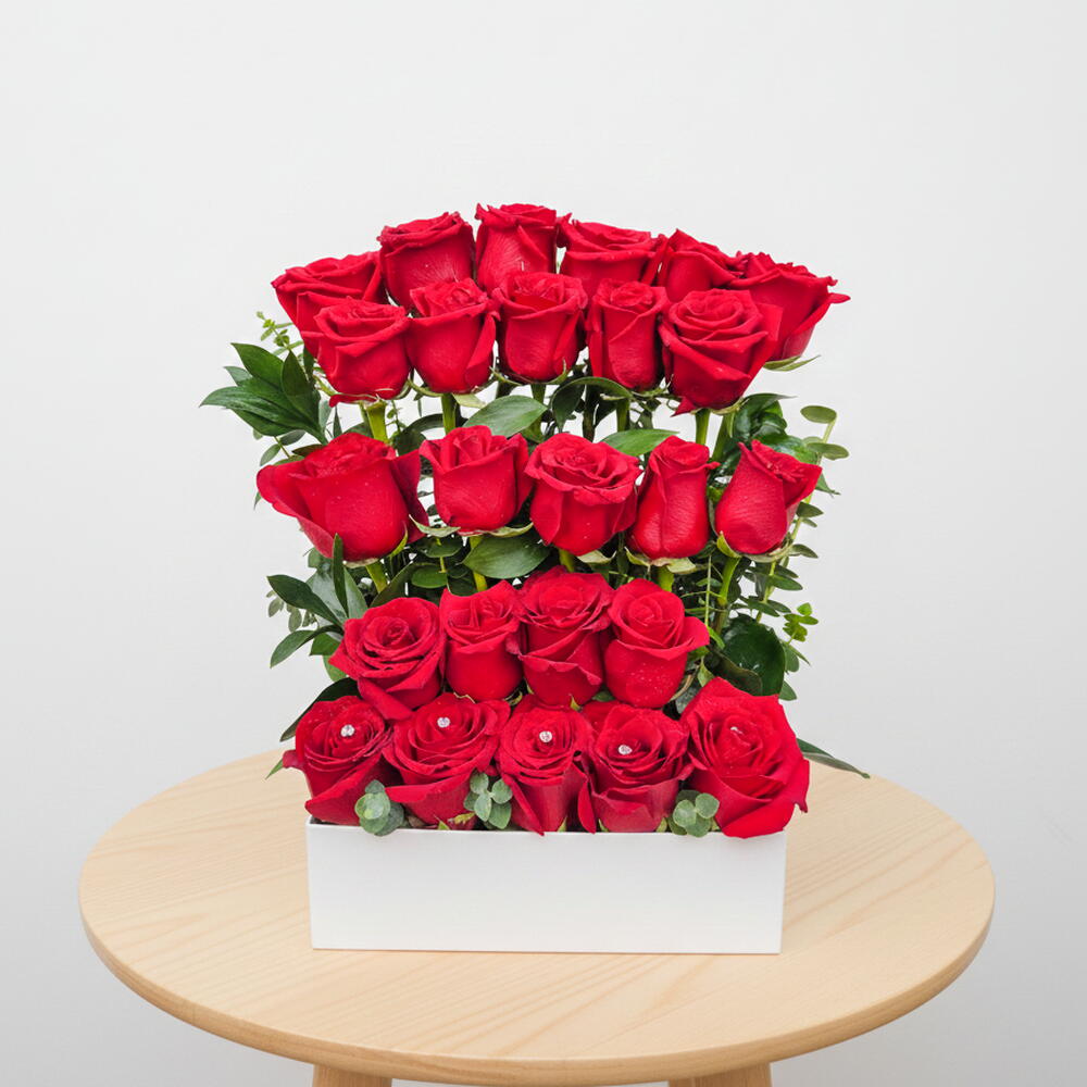 Rosas vermelhas brilhantes
